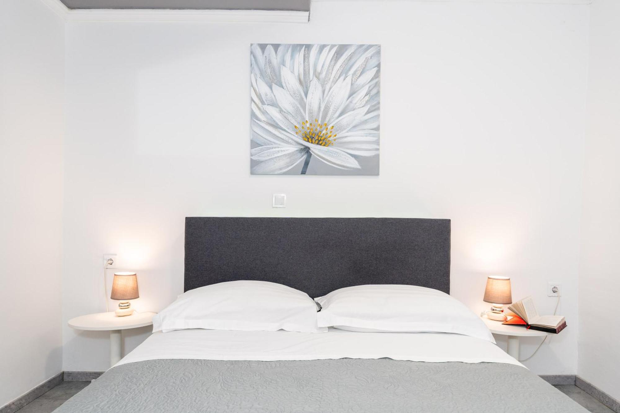 Lapad Sunshine Apartment ドゥブロブニク エクステリア 写真
